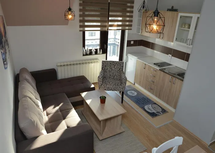 Ema Big 64m2-duplex 公寓 科帕奥尼克