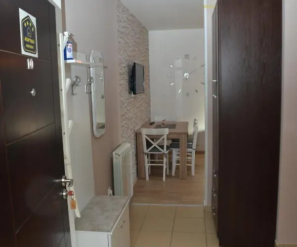 公寓 Ema Big 64m2-duplex 科帕奥尼克