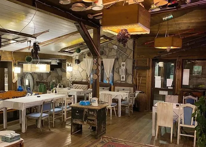 Apartman Ema Big 64m2-duplex Kopaonik